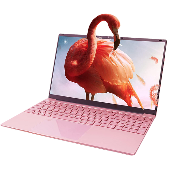 DAMI3C G91 Laptop – 15.6” Display | Intel® N5095 | 16GB RAM | SSD 256GB/512GB/1TB | Windows 11 | Fingerprint Unlock